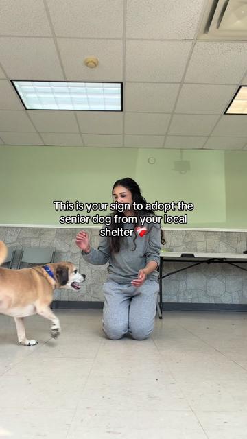 @myTinypurpose
