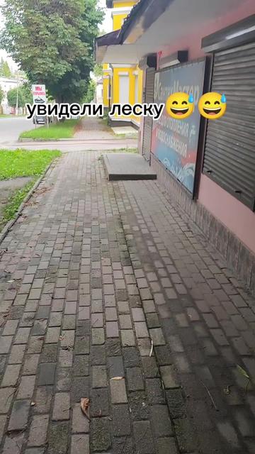 @артём