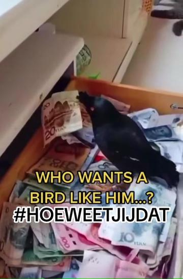 @HOEWEETJIJDAT