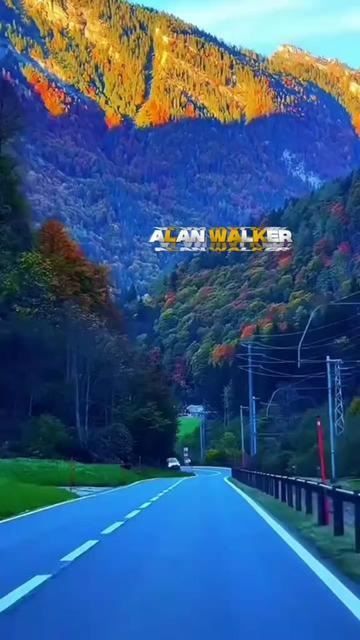 @Alan Walker Fan