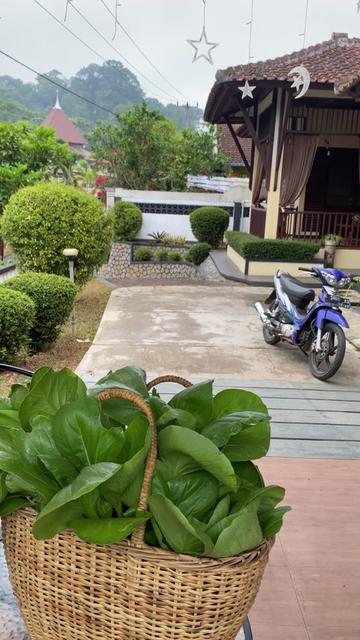 @Heni-jo