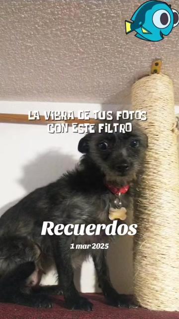 @La Dory y sus amigos