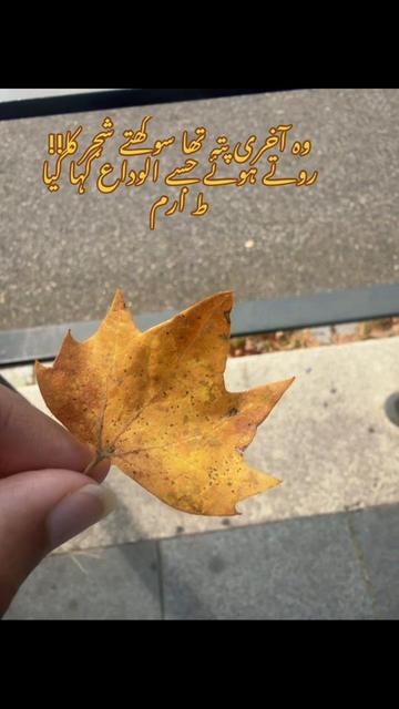 @🇨🇵ارم🇵🇰