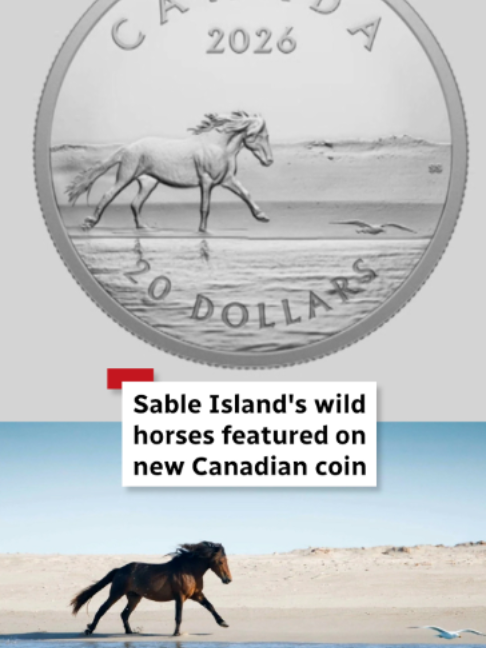 @CBC Nova Scotia