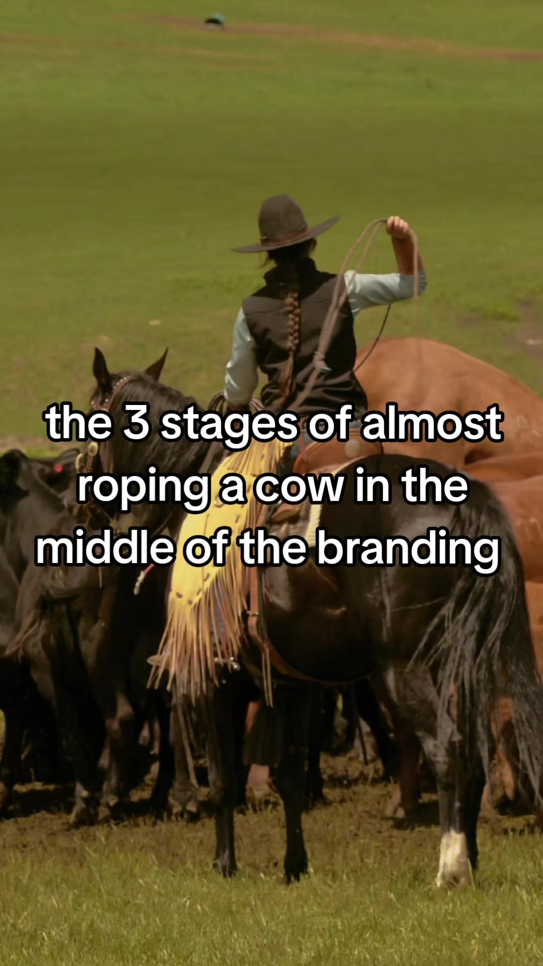 @kylie