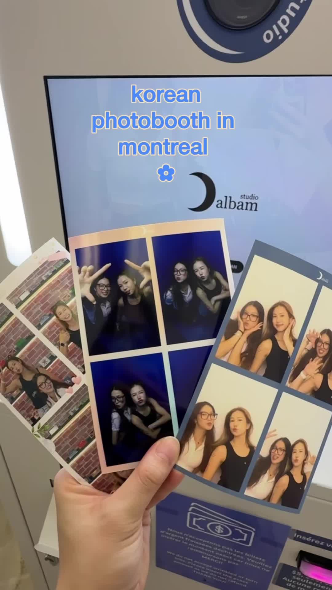 @steffie ☁️🍒