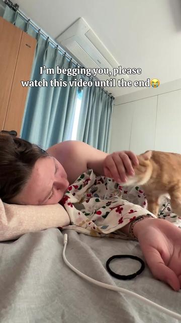 @MyStrayCheese