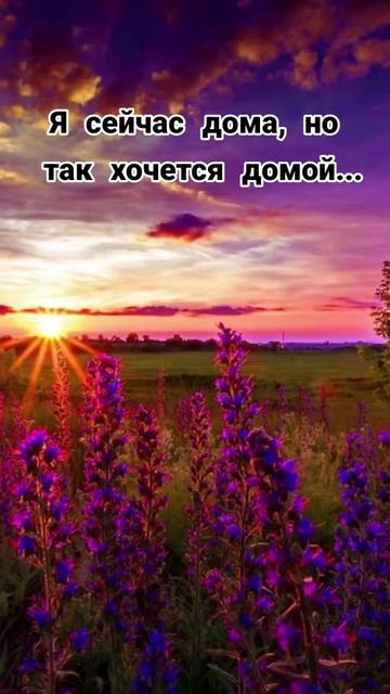 @Ane4ka71