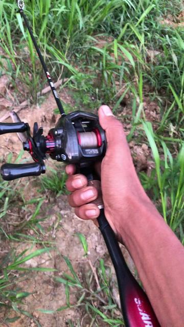 @Hayau tarus