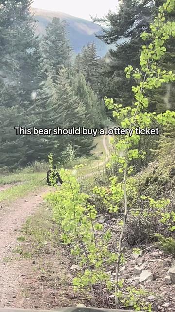 @Jack Ekholm