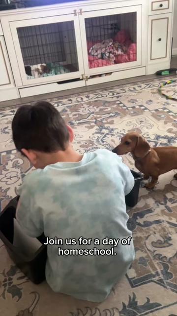 @Alayna 📚