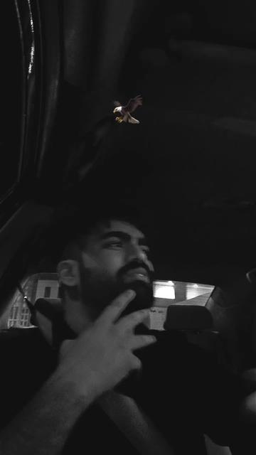 @🫴❤️&zwj;🩹🕊️