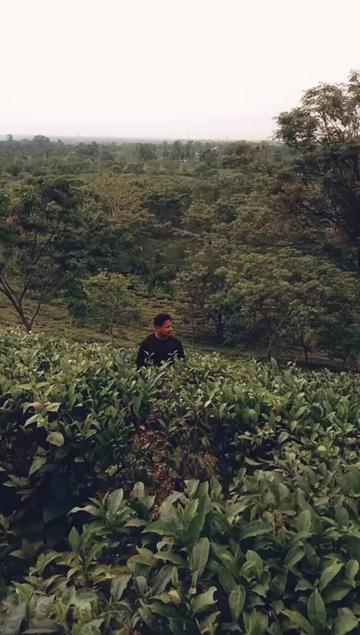 @CHANDAN KALANDI