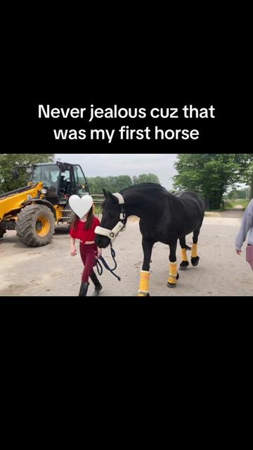 @SchimmelponyParadise