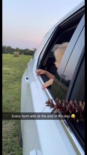 @rrfcattle