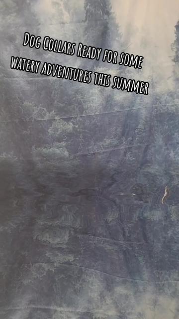 @Howling Ridge Co