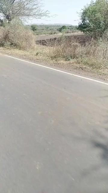 @Avesh Dipak Masane