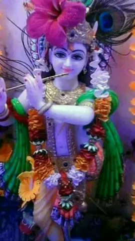 @cute bihari❤❤❤