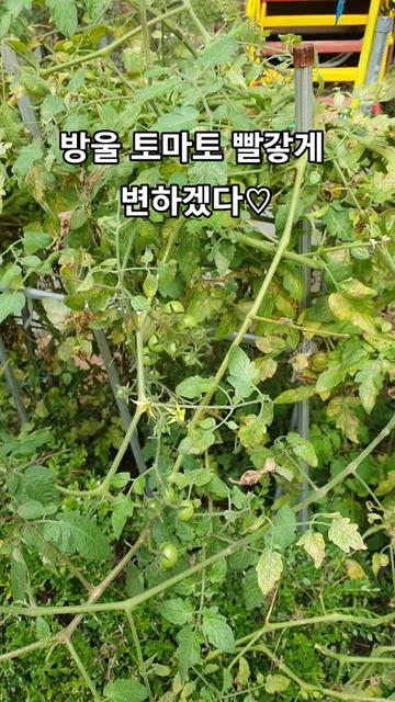 @로켓마미