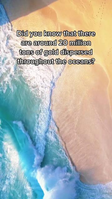 @Ocean Project