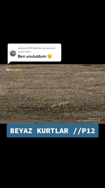 @Belgesel Dünyası 🌏