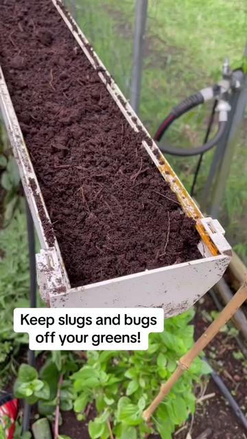 @kumuainafarms