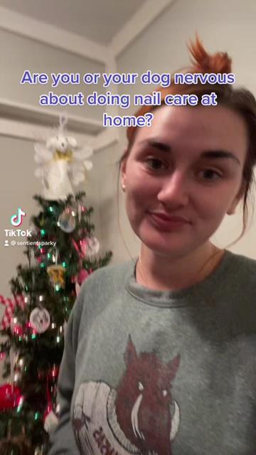 @sentientsparky