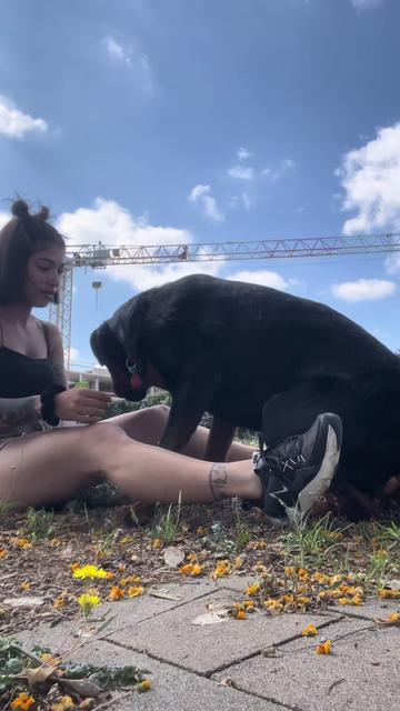 @Anubis y compañía