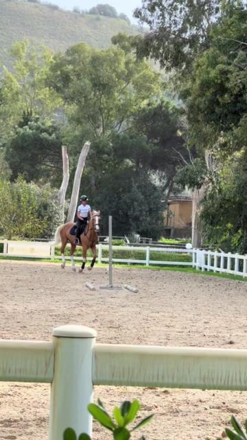 @Ilaria Montone