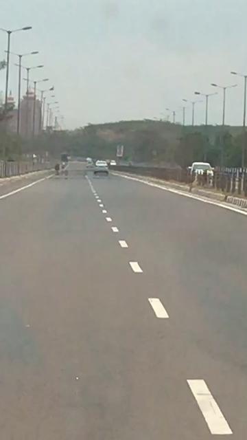 @bathinda wala bai