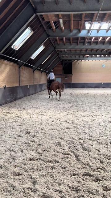 @Sterre Schepers