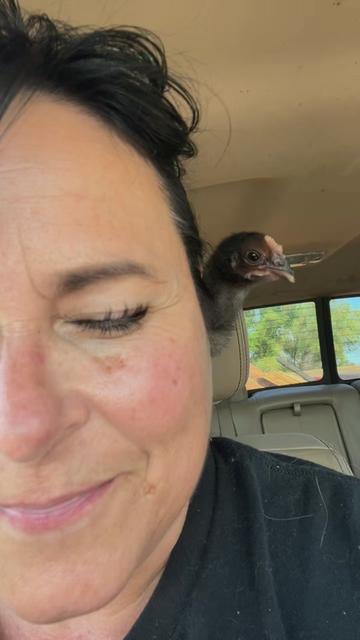 @arabianrescuetherapy