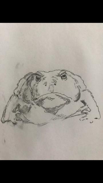 @esvelethebard