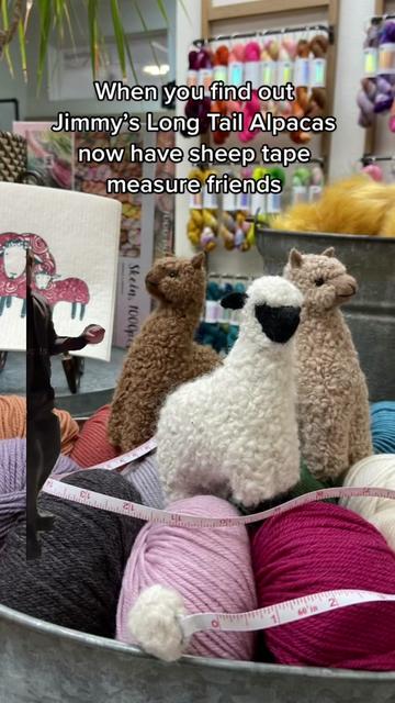 @Jimmy Beans Wool | Yarn Shop
