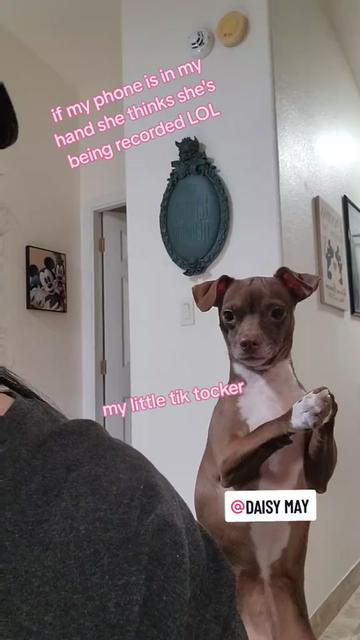 @DAISY MAY
