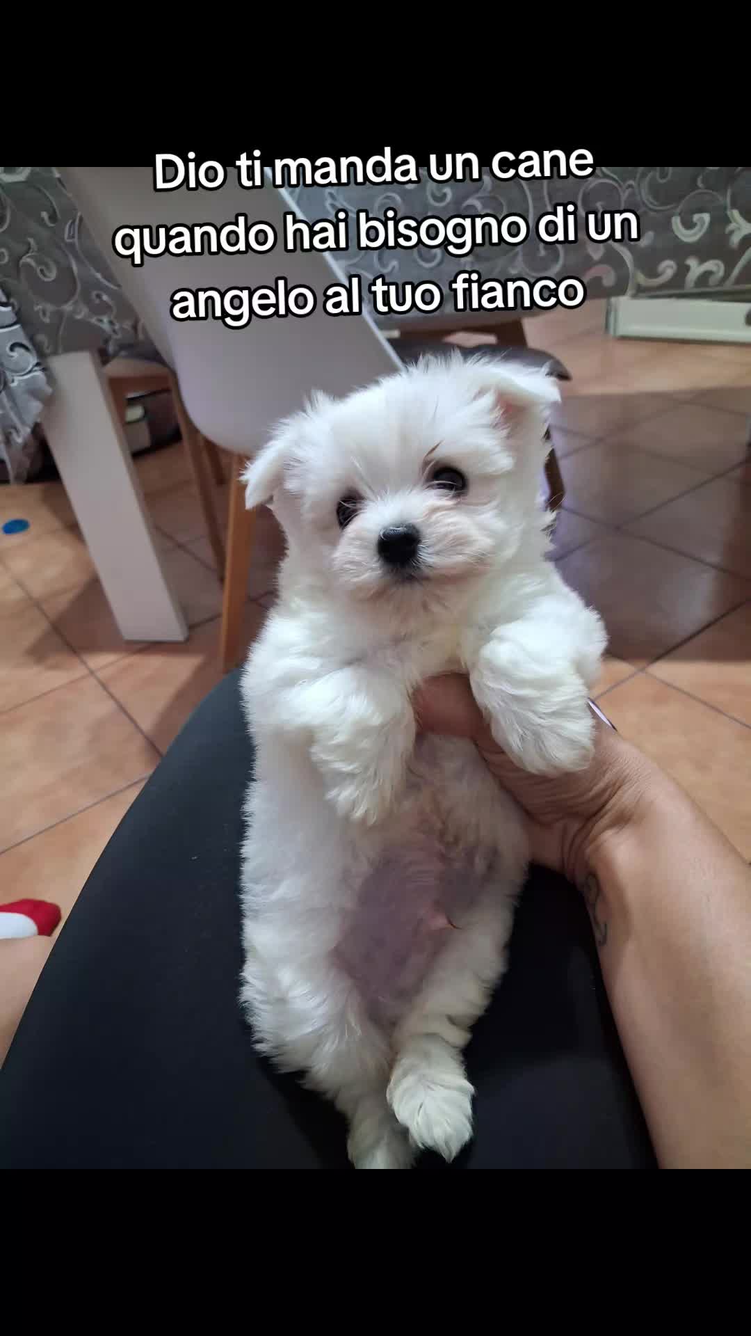 @Roberta89