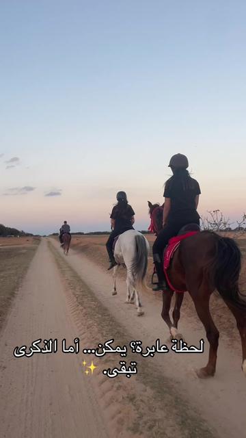 @Feres Ben Amor 🏇