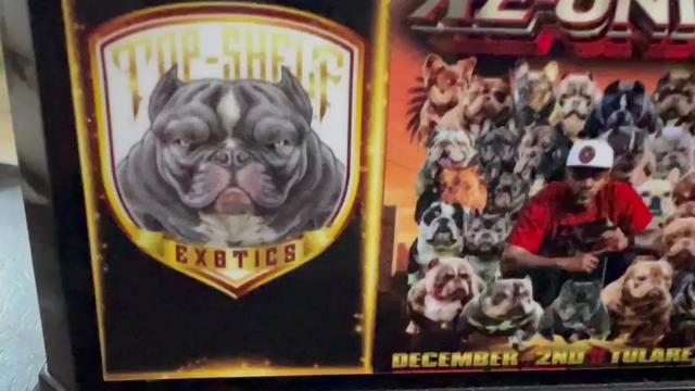 @top shelf exotics