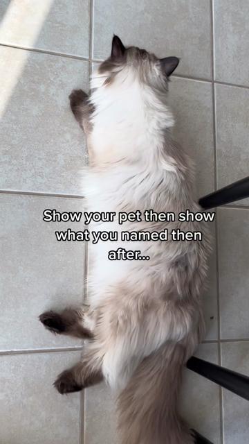 @Stacy Nicole