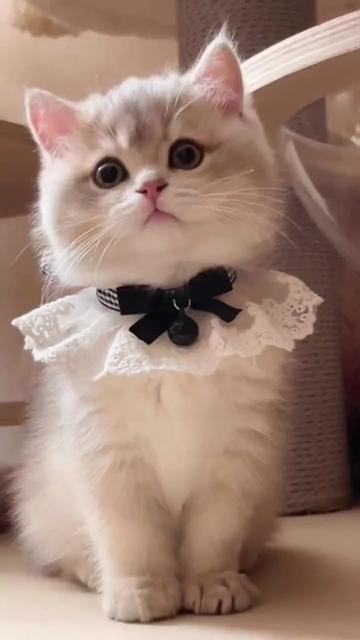 @dfhdhhd22