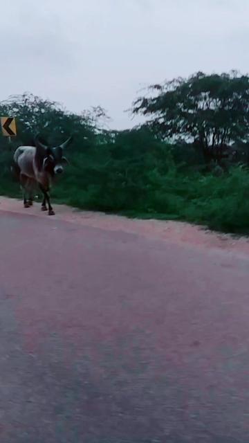 @#mr.rathod