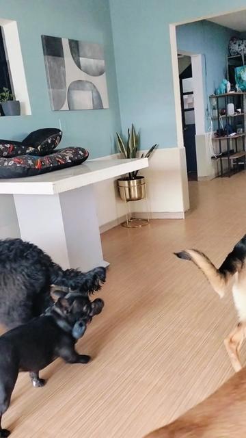 @Canbnb 🐶❤️