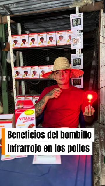 @elmagnatedelospollos
