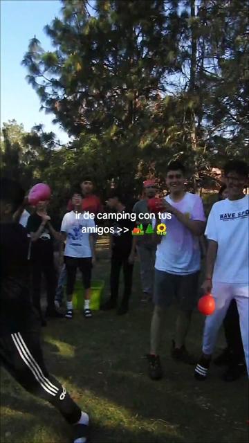 @Live Camp Campamentos