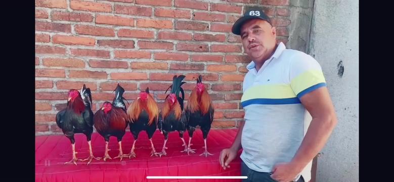@Bernardo Rios