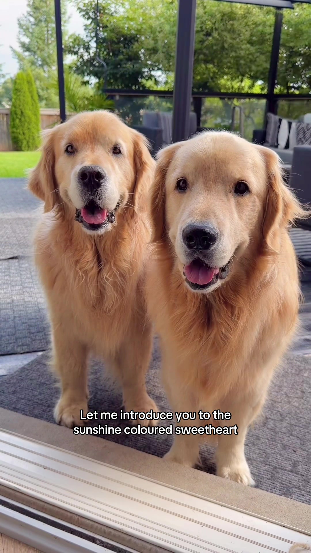 @Sterling and Colin