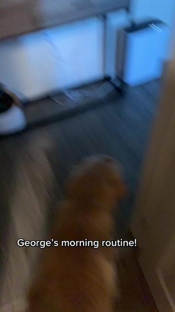 @George The Golden