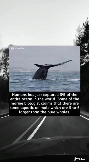 @the_scaryposts