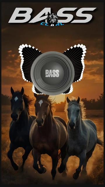 @BASS BOOSTED SONGS LOBO