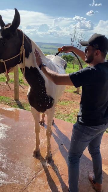 @Haras Zé Galego